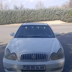 Hyundai Santa Fe 2003