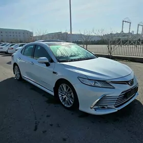 Toyota Camry 2019