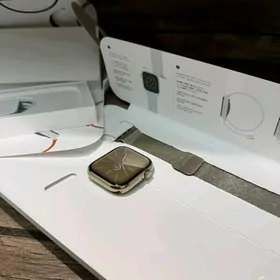 Apple Watch 8 45mm Steinles