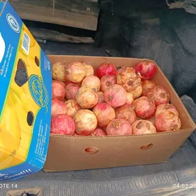 Anar Mesni Yuka Pochak