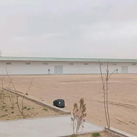 akno gapy seh arenda