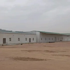 akno gapy seh arenda