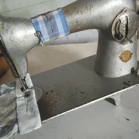 gadymy.tikin.maşyny