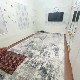 Gyssagly Mir7/2 yolun ugry