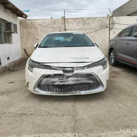 Toyota Corolla 2021