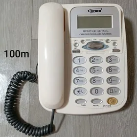 домашний телефон domasny tel