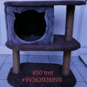 pisik, кошка когтеточка