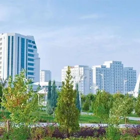 Oy iş komekci gyz gerek