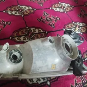 babycka cuse  fary cep