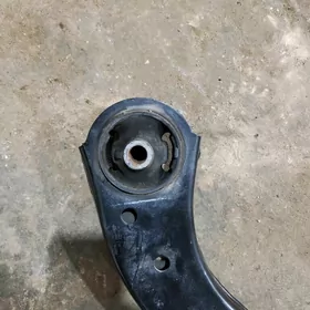 Kemry rycak 2018  2024