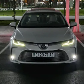 Toyota Corolla 2019