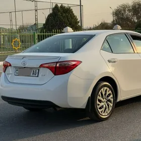 Toyota Corolla 2019