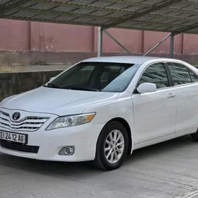Toyota Camry 2010