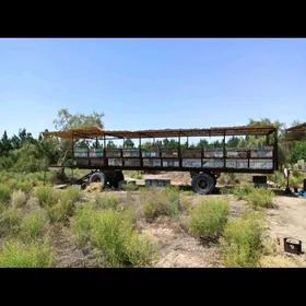 Prisep Polprisep 2026