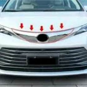 Sienna21-24 öñki reşetka nikel