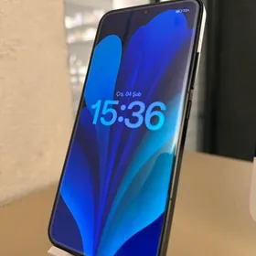 xioami 15 12/256 100