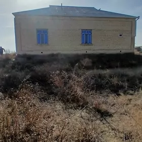 Mary-Şäher-Satlyk-Howly