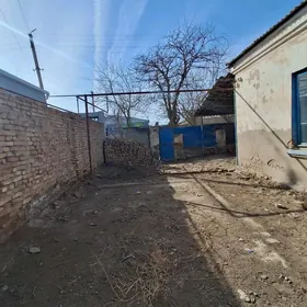 Mary-Şäher-Satlyk-Howly