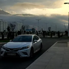 Toyota Camry 2019