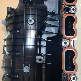 Kalekdir Pawuk Kemry18Sienna22