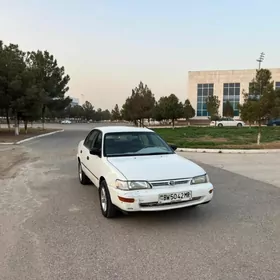 Toyota Corolla 1995