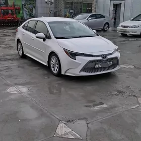 Toyota Corolla 2020