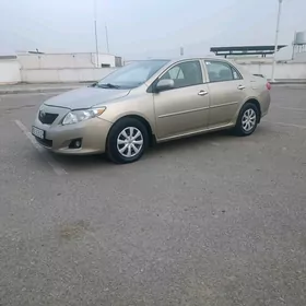 Toyota Corolla 2009
