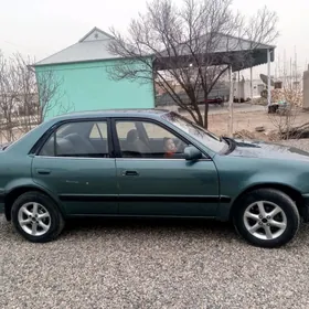 Toyota Corolla 1995