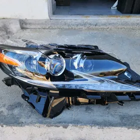 Fara Es 2017 Haliji/USA