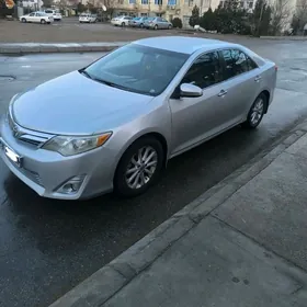 Toyota Camry 2013