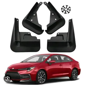 Karolla brazgawik 2020.2025