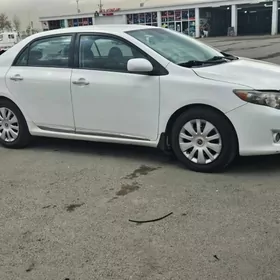 Toyota Corolla 2010