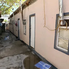 kwartirant wermŷanka adamgerek