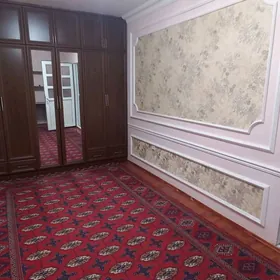 Arenda plan howly jay