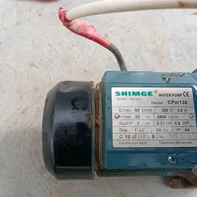 nasos suwunky shimge