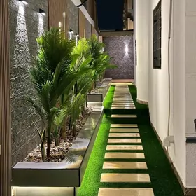 Arenda Kates Çoganly 6 komnat