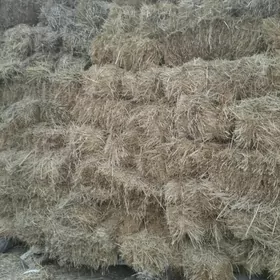 бугдай саман