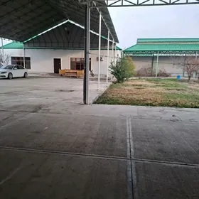 Hurmont gökje 16 sotok ÿer