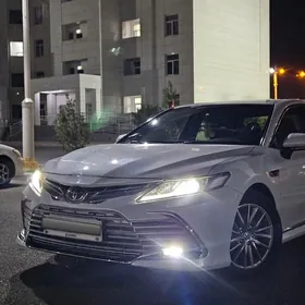 Toyota Camry 2019