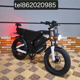 TOKLY TIGIR SAMAKAT MATOR