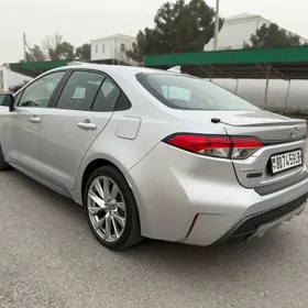 Toyota Corolla 2020