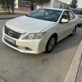 Toyota Aurion 2013