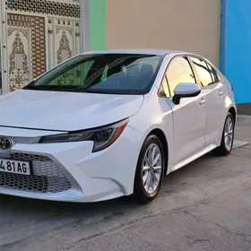 Toyota Corolla 2020