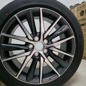 Yewropeyka diska pakriska