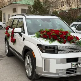 Hyundai Santa Fe 2024