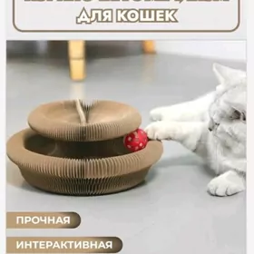 когтеточка