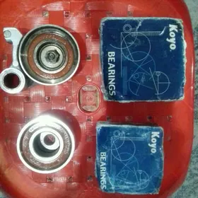 Avalon natajitel paşipnik