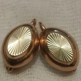 Гадымы тылла