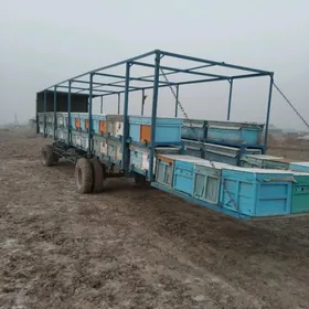 прицеп с пчёлами 44 ящика 88 с