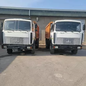 МАЗ ВОДИТЕЛЬ.  MAZ SURUJI